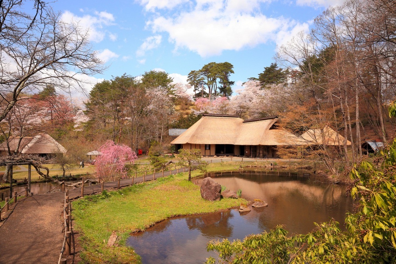 桜の咲く里山と日本の茅葺き古民家